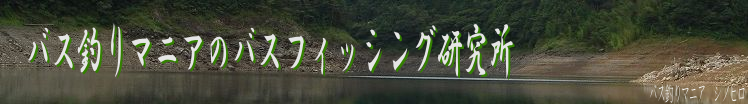 バス釣りマニアのバスフィッシング研究所